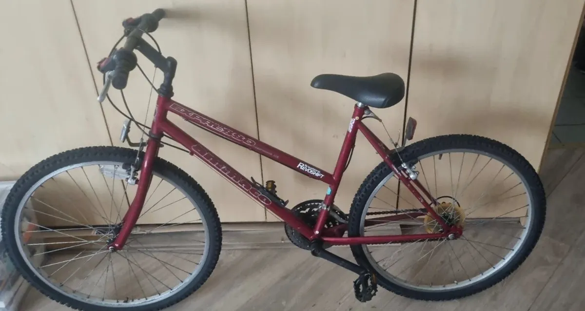 Raleigh Ladies Mountain Bike - Image 2