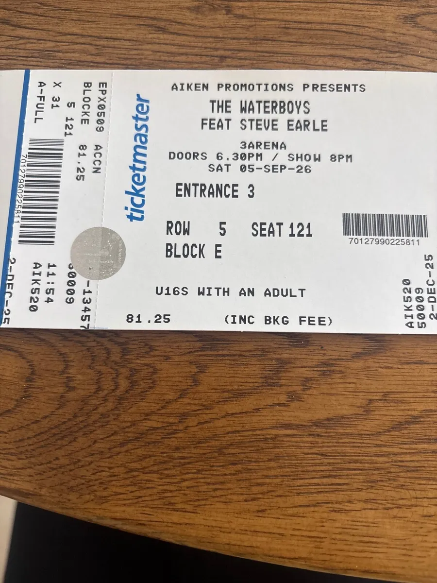 The Waterboys featuring Steve Earle - Image 2