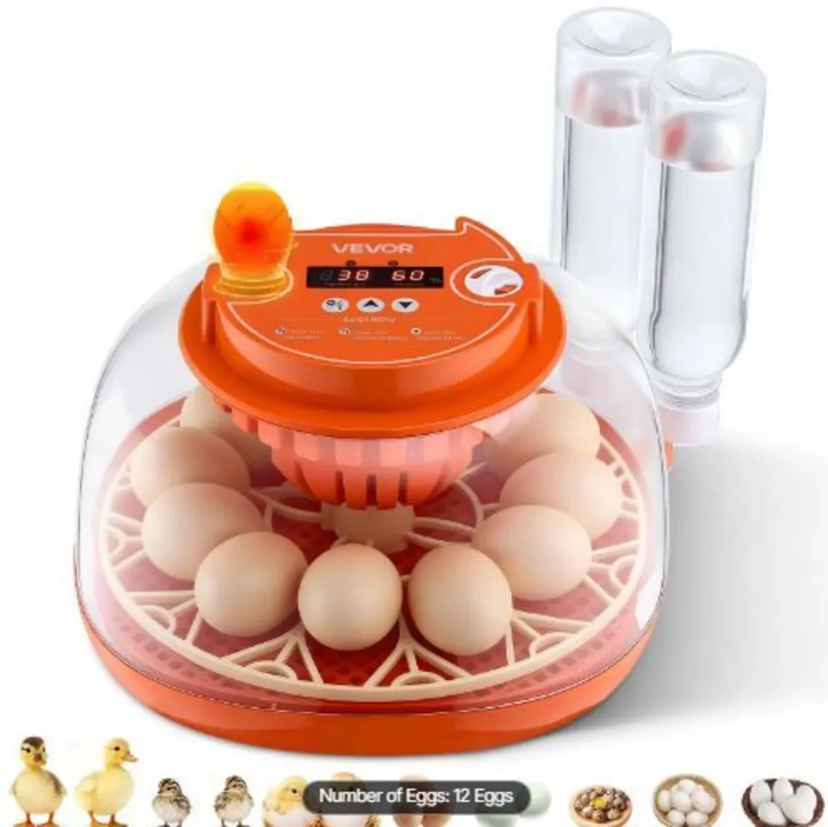 12 Egg Incubator, Automatic Egg Turner - Image 4