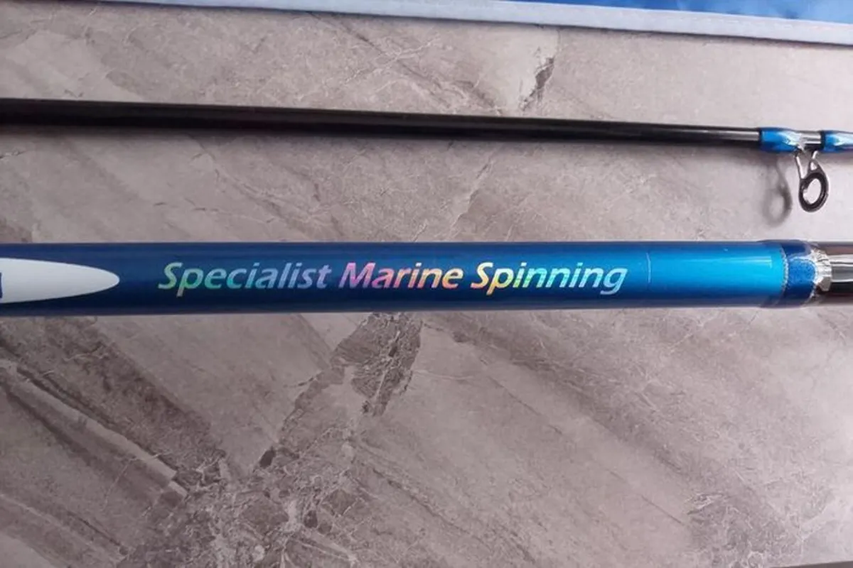 Fishing Spinning Sea bass/mackerel - Image 2