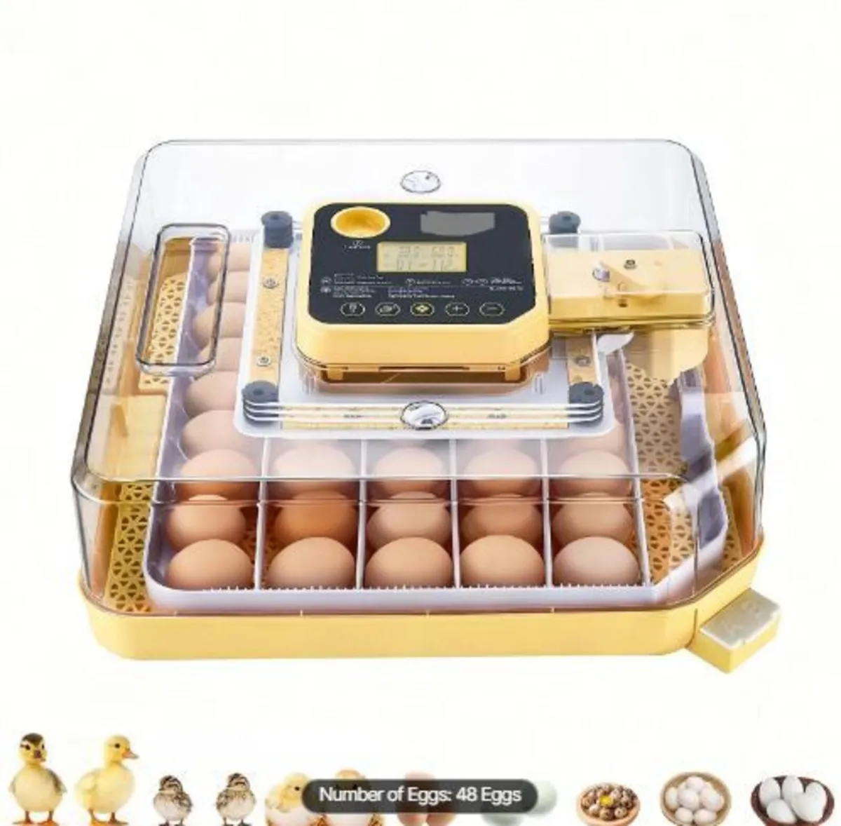 48 Egg Incubator, Automatic Egg Turner - Image 3