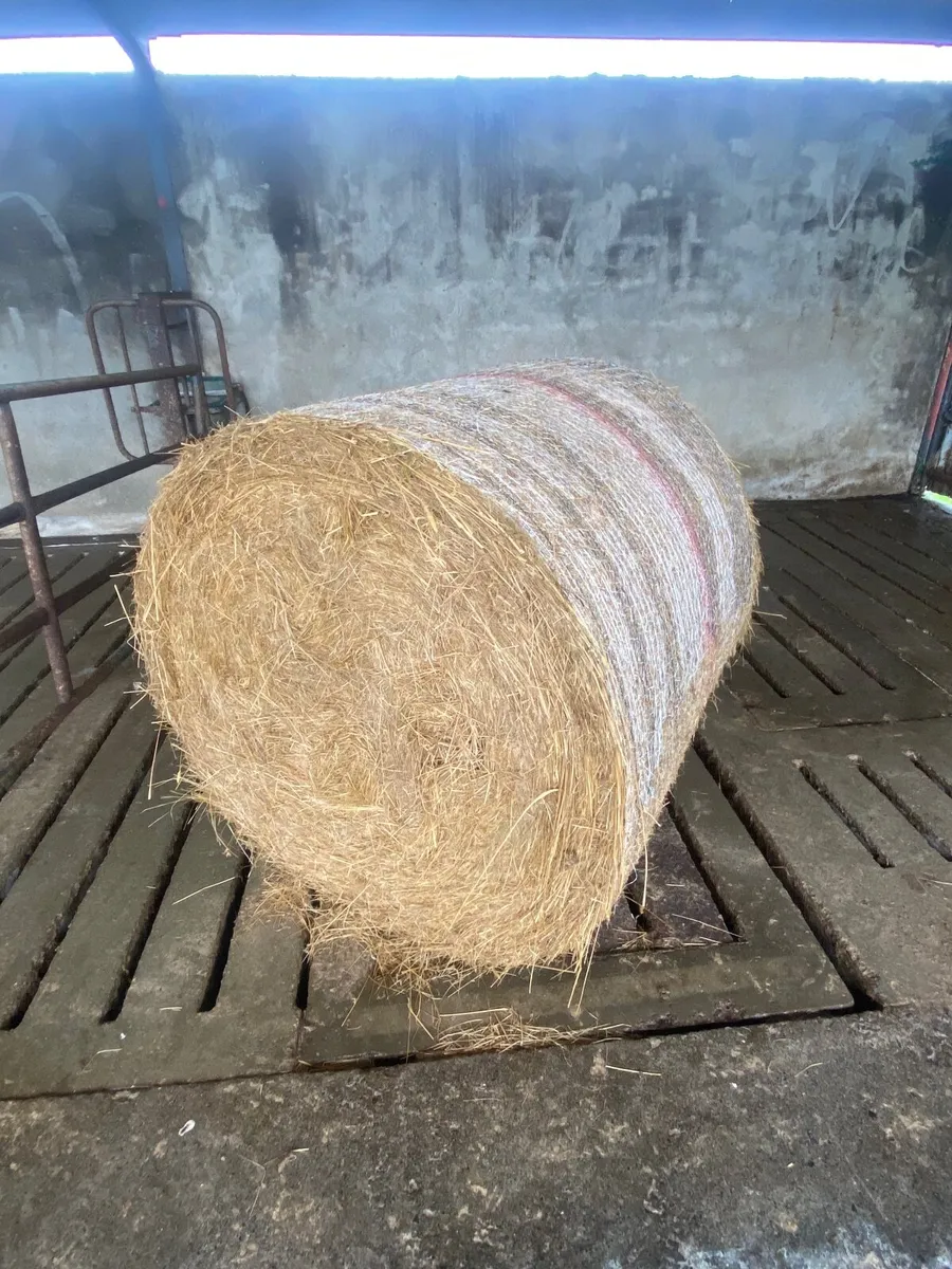Round bales of rushes/bedding
