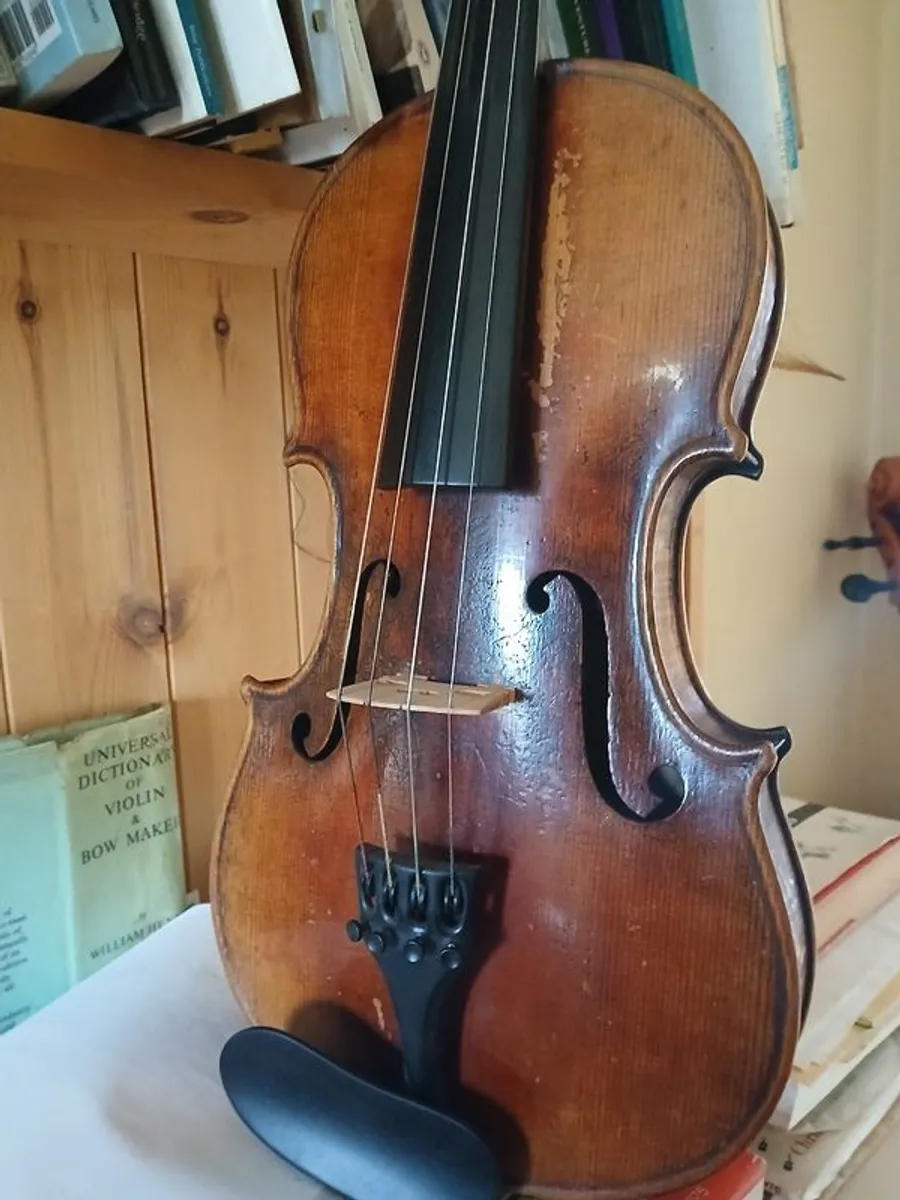 15 inch Viola - Image 1