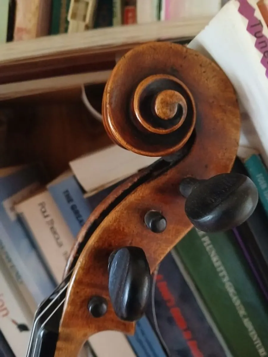 15 inch Viola - Image 2