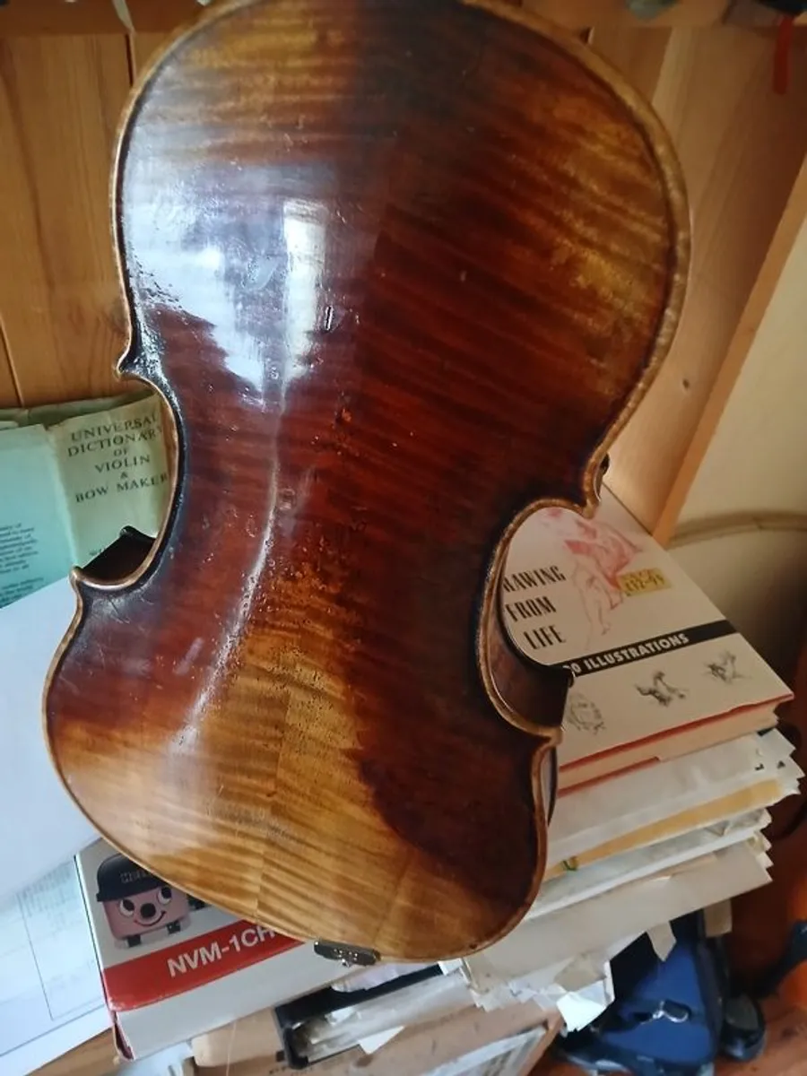 15 inch Viola - Image 3