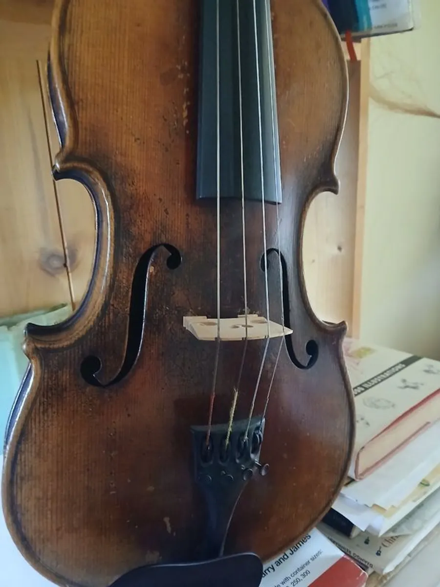 15 inch Viola - Image 4