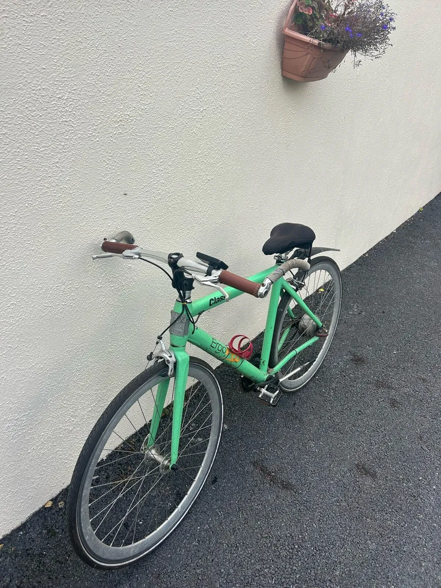 Ergopro. e Bike - Image 3