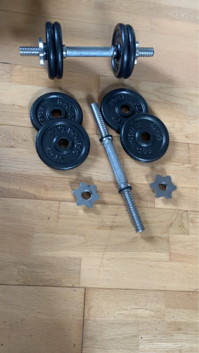 Pro Power Adjustable Dumbbells - Image 1