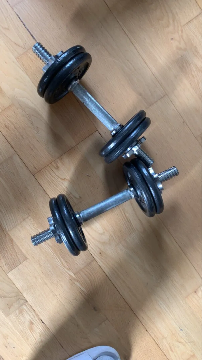 Pro Power Adjustable Dumbbells - Image 2