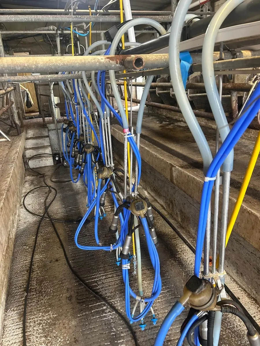 Milking palour - Image 2