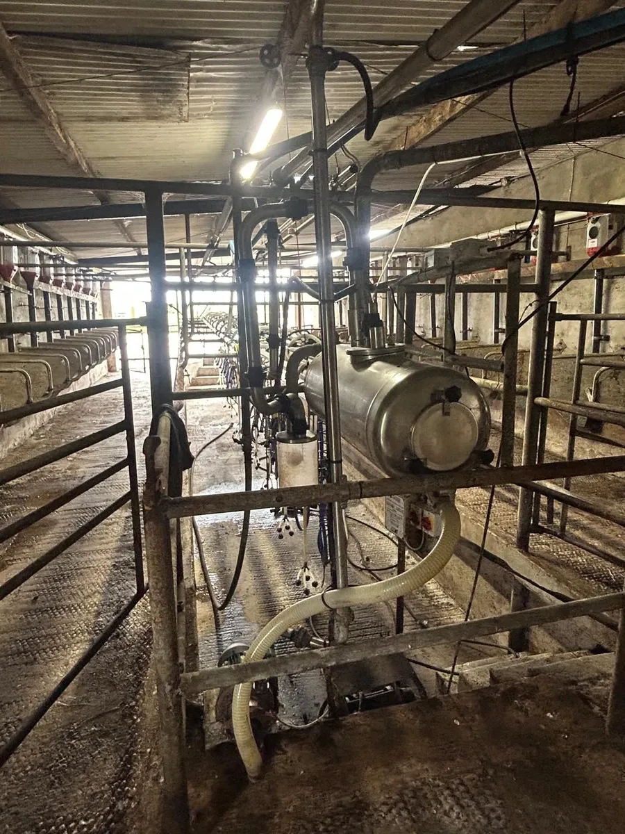 Milking palour - Image 3