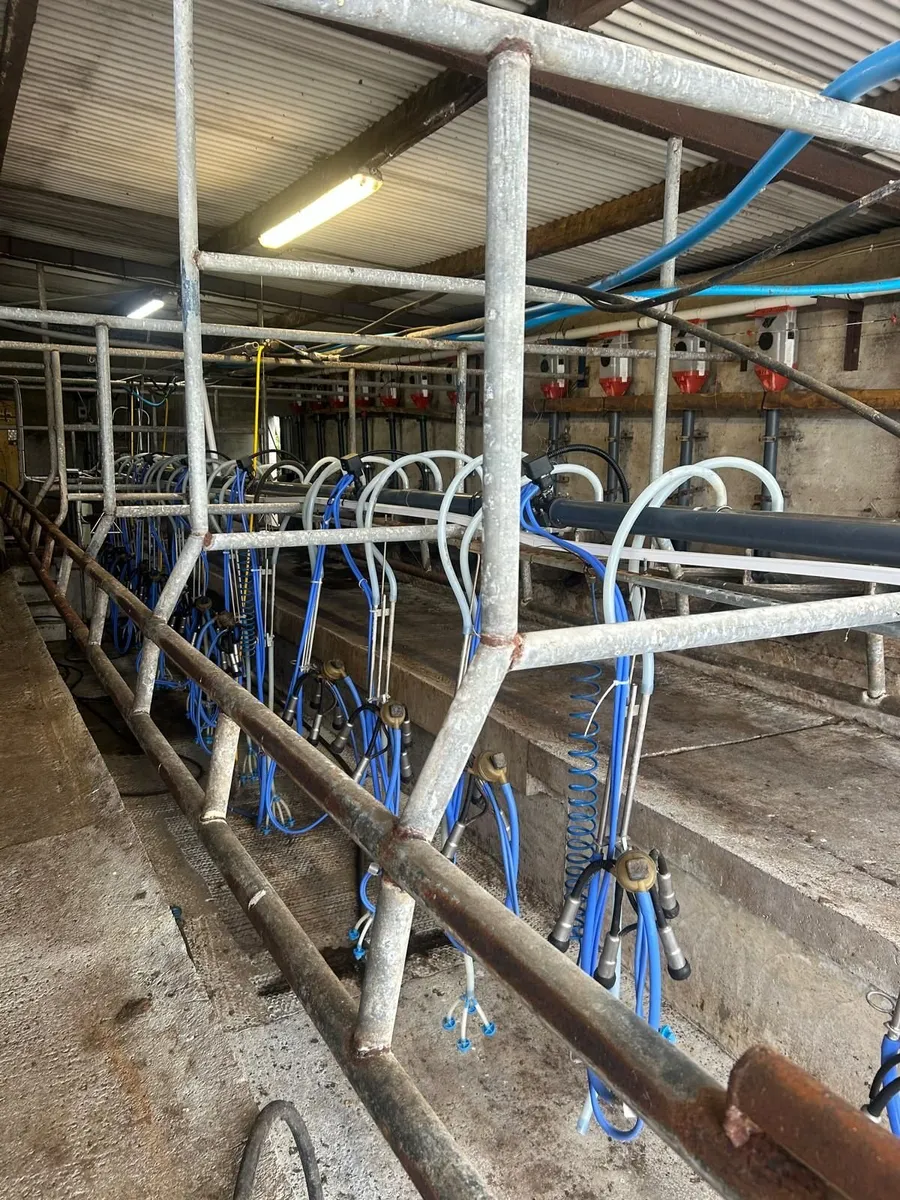 Milking palour - Image 4