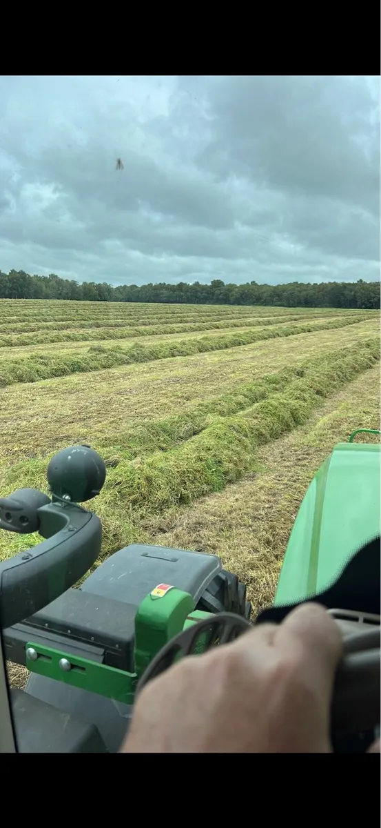 First cut silage for sale - Image 4