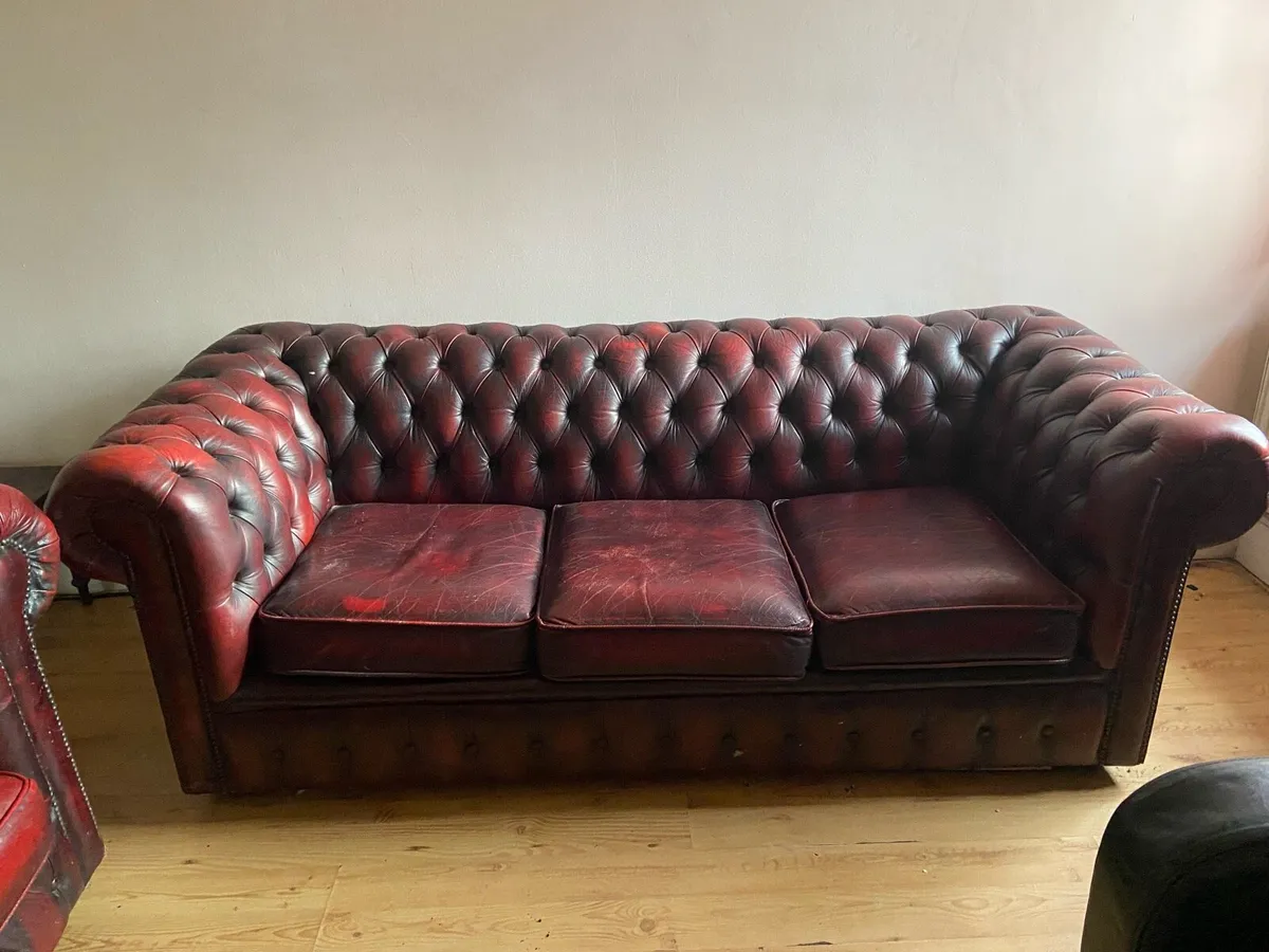 2 and 3 seater chester sofas - Image 2
