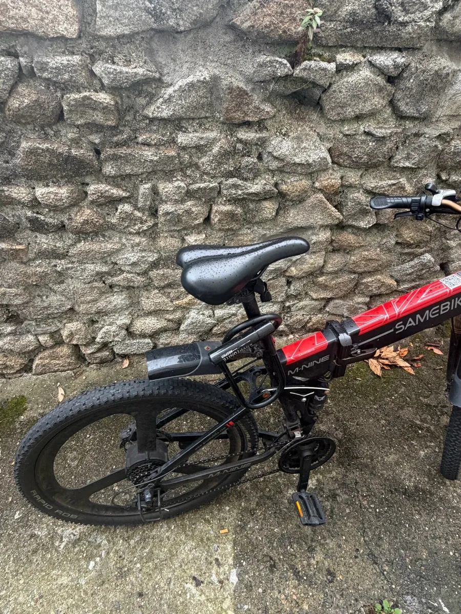 Electric Bike - Image 2