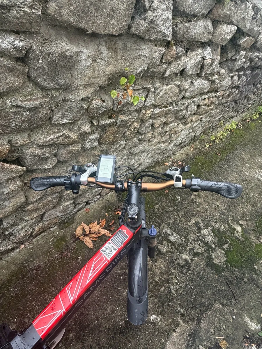 Electric Bike - Image 3