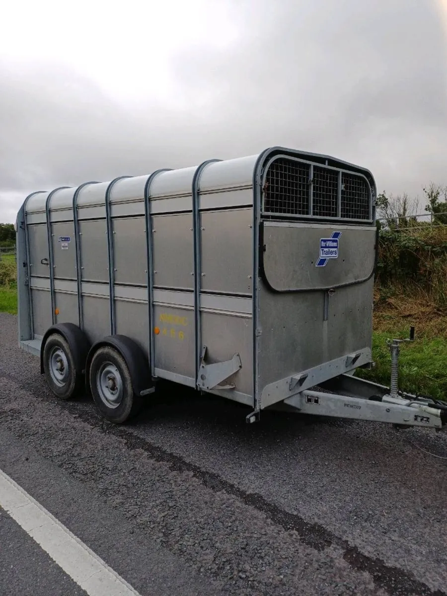 Ifor williams 12 x 6 cattle trailer, Year 2022 - Image 1