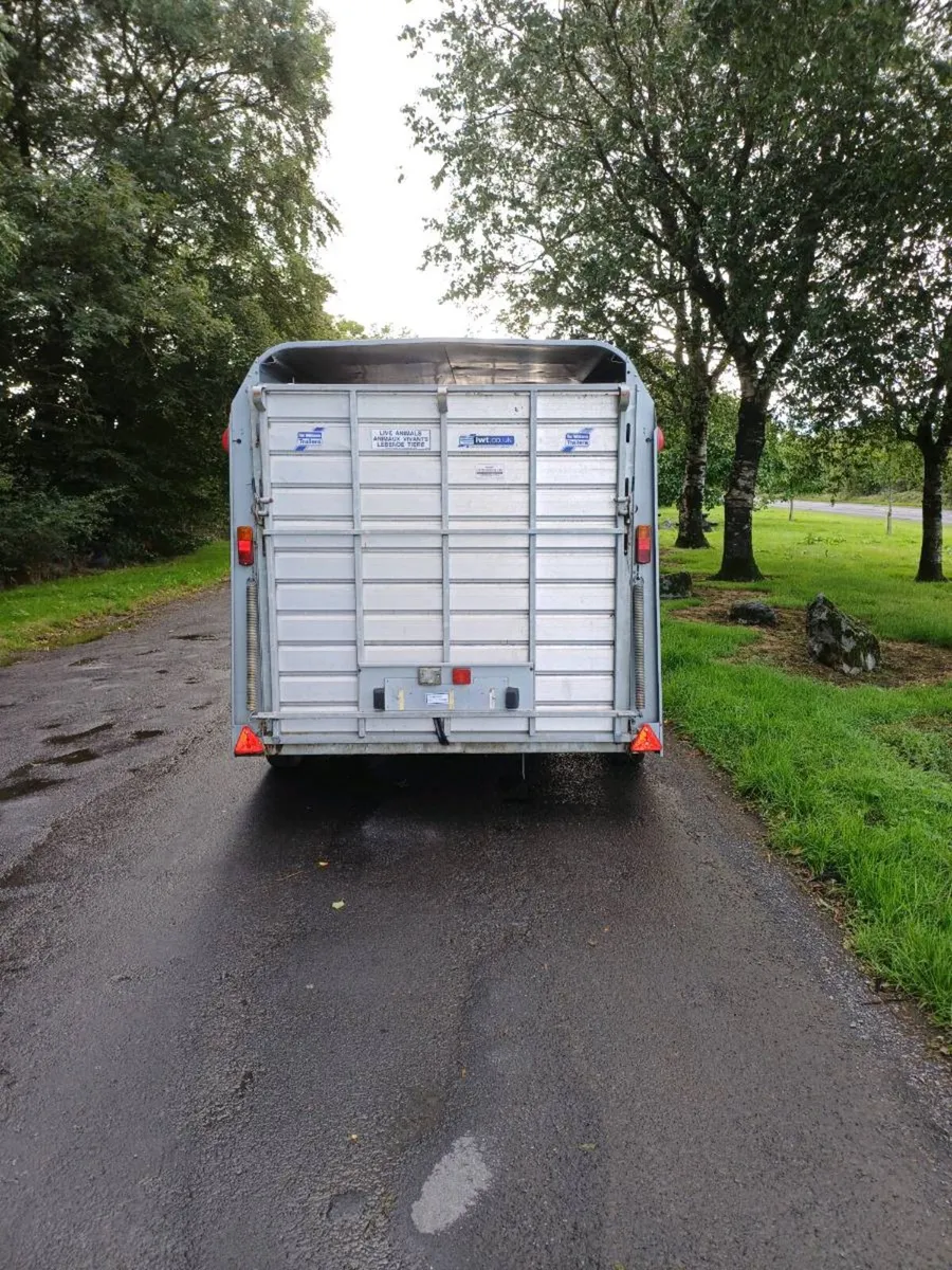 Ifor williams 12 x 6 cattle trailer, Year 2022 - Image 2