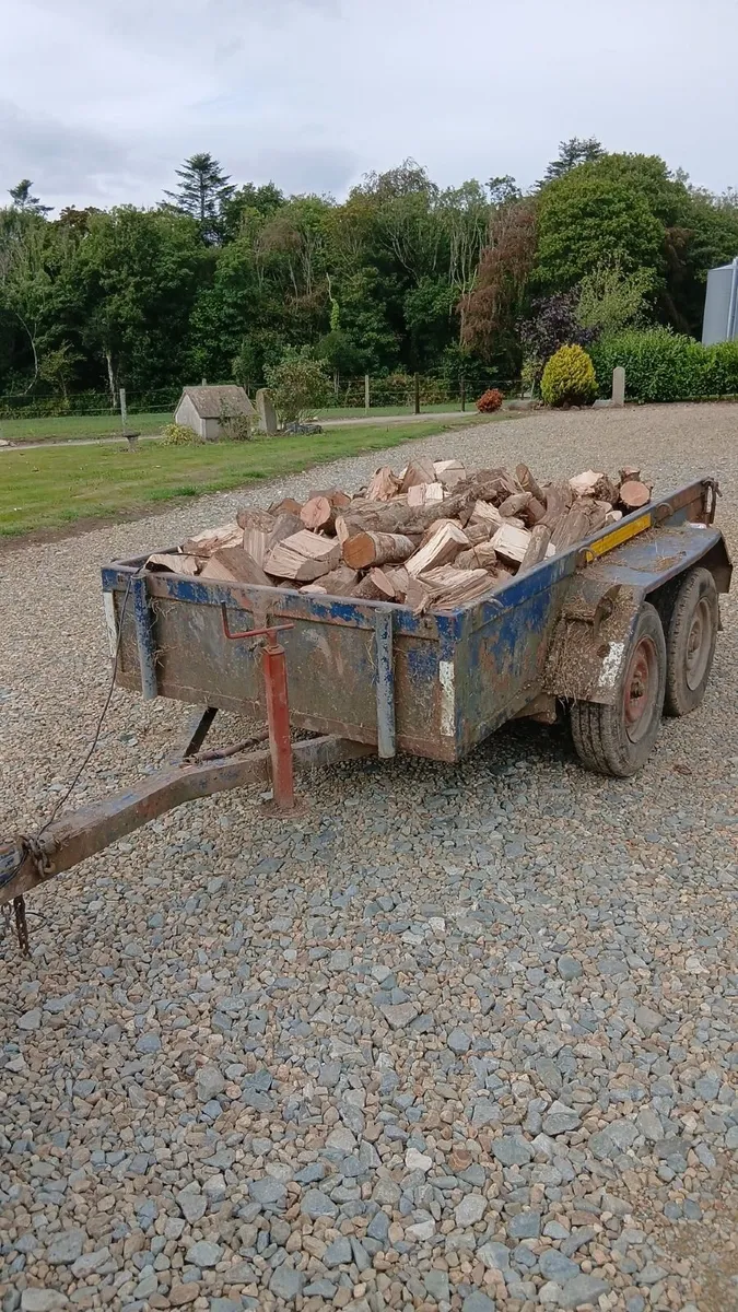 Top Class loads of seasoned hardwood firewood - Image 1