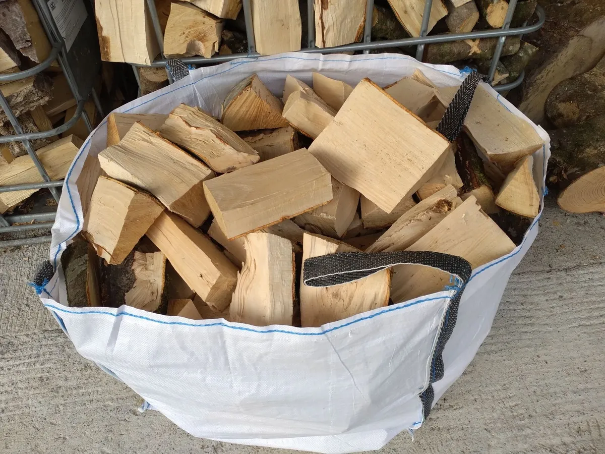 Ash firewood - Image 2