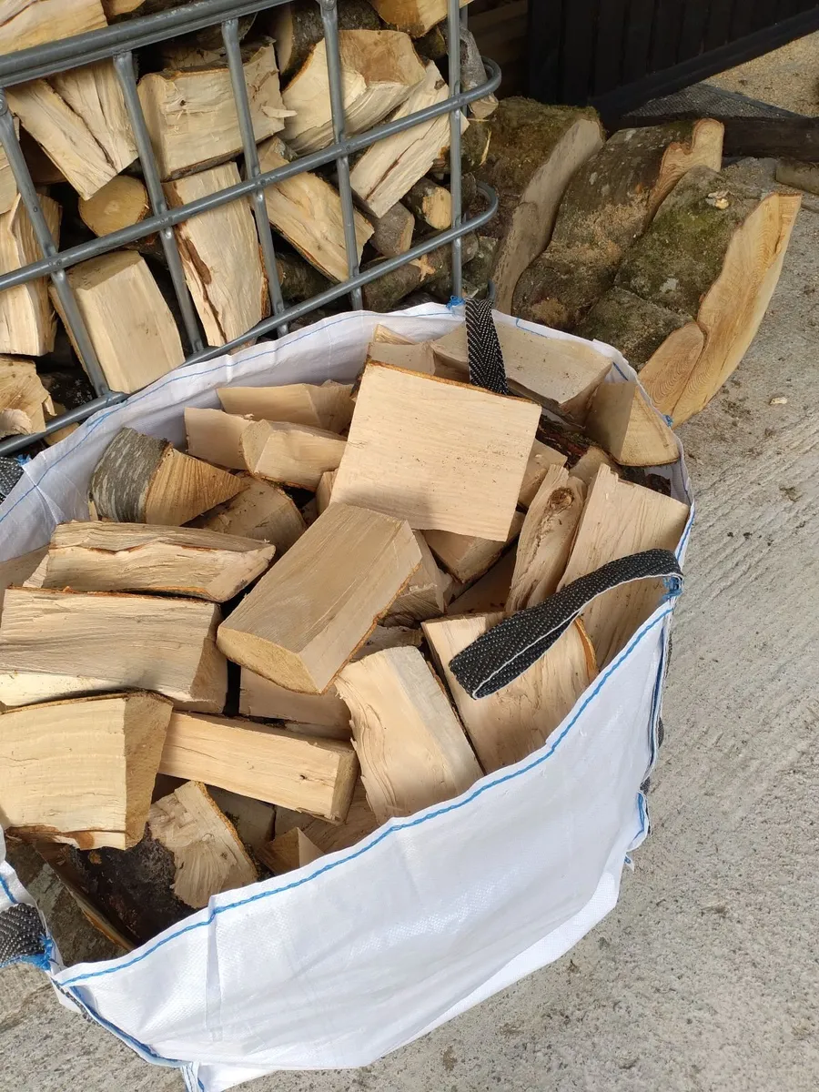Ash firewood - Image 3