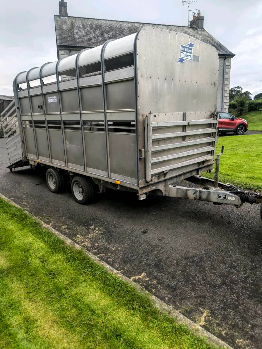 12ft ifor Williams cattle trailer - Image 1