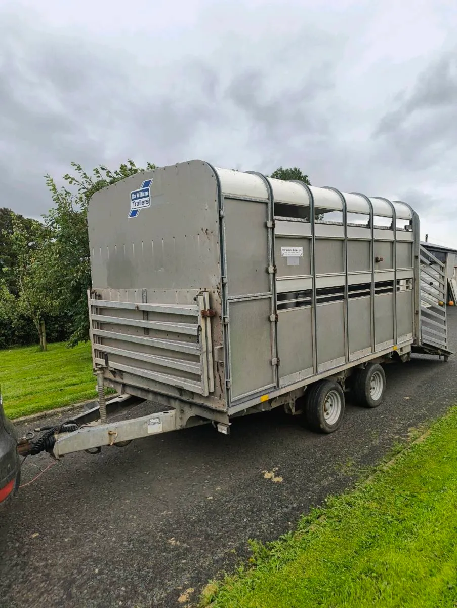 12ft ifor Williams cattle trailer - Image 2