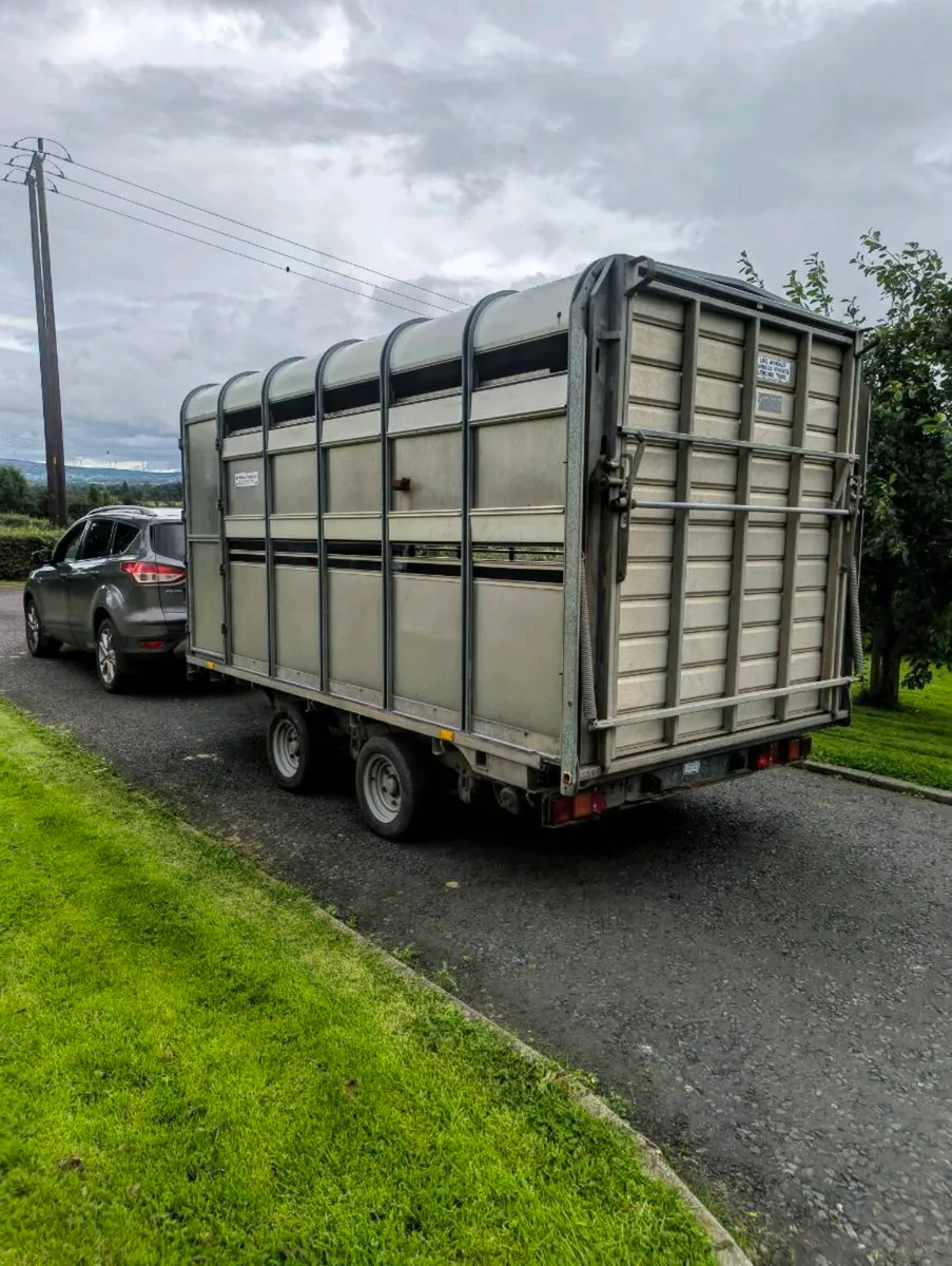 12ft ifor Williams cattle trailer - Image 3