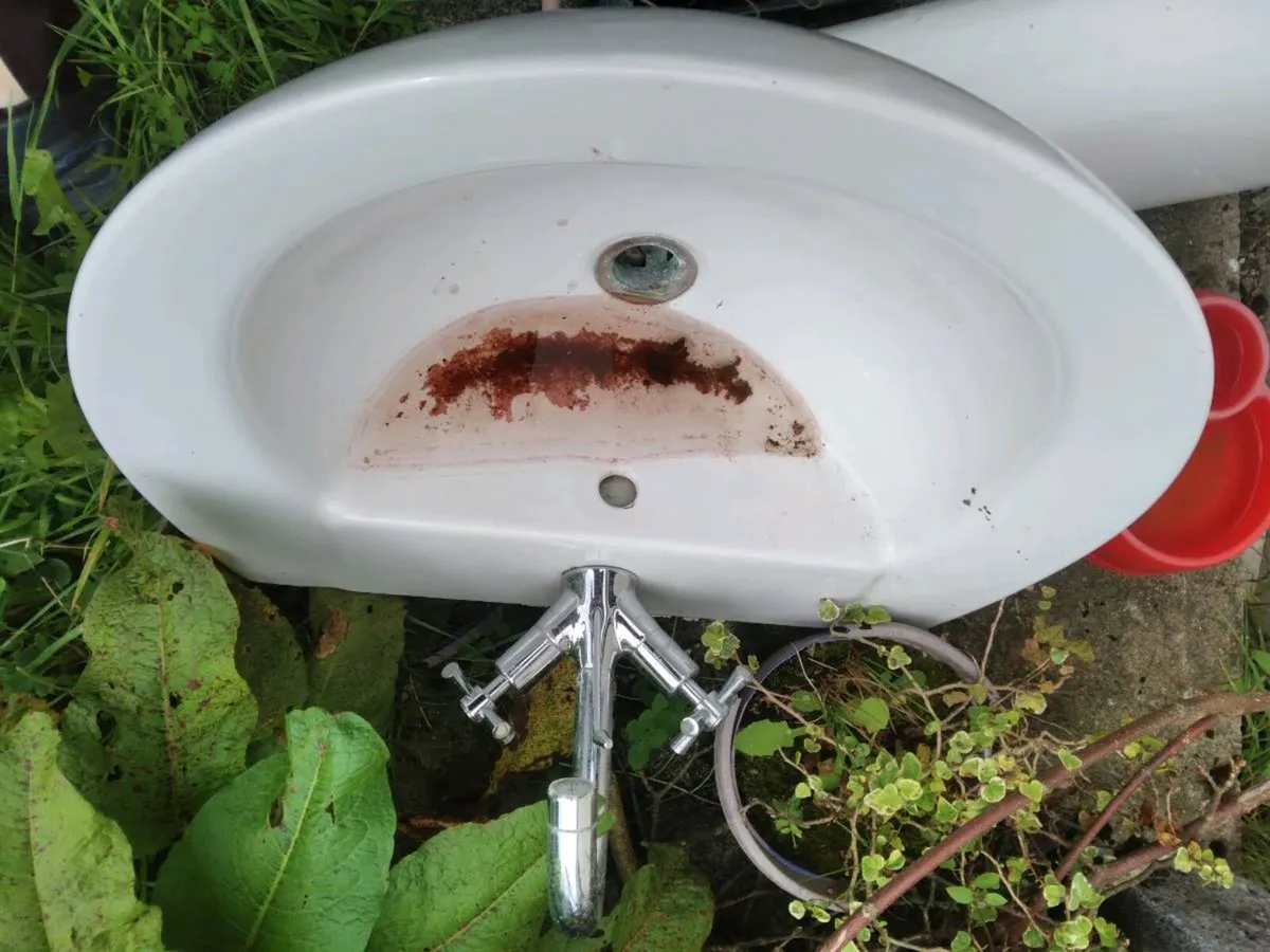 Basin with mixer tap & pedestal - Image 2