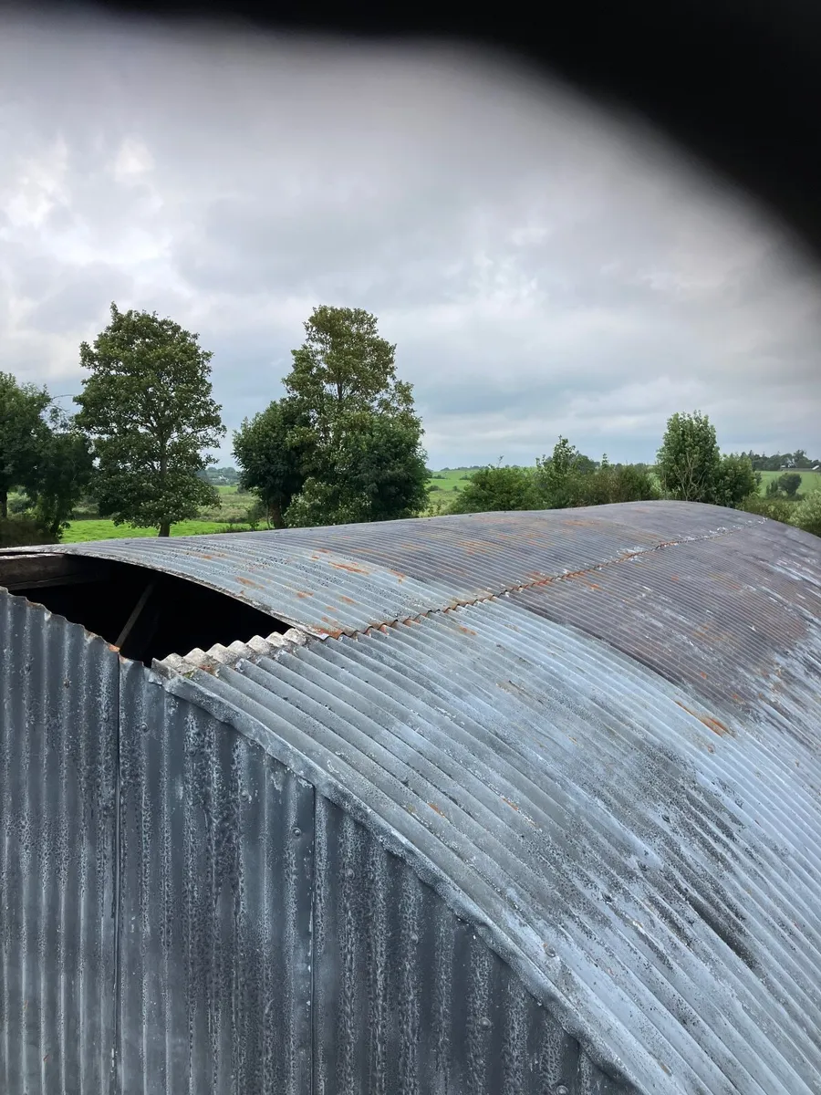 Shed roof sheeting - Image 2