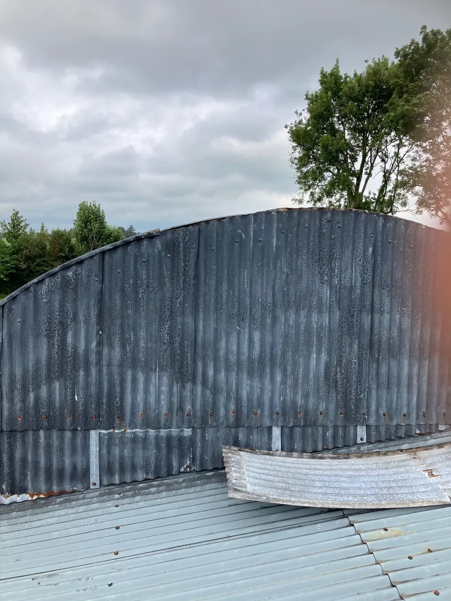 Shed roof sheeting - Image 3
