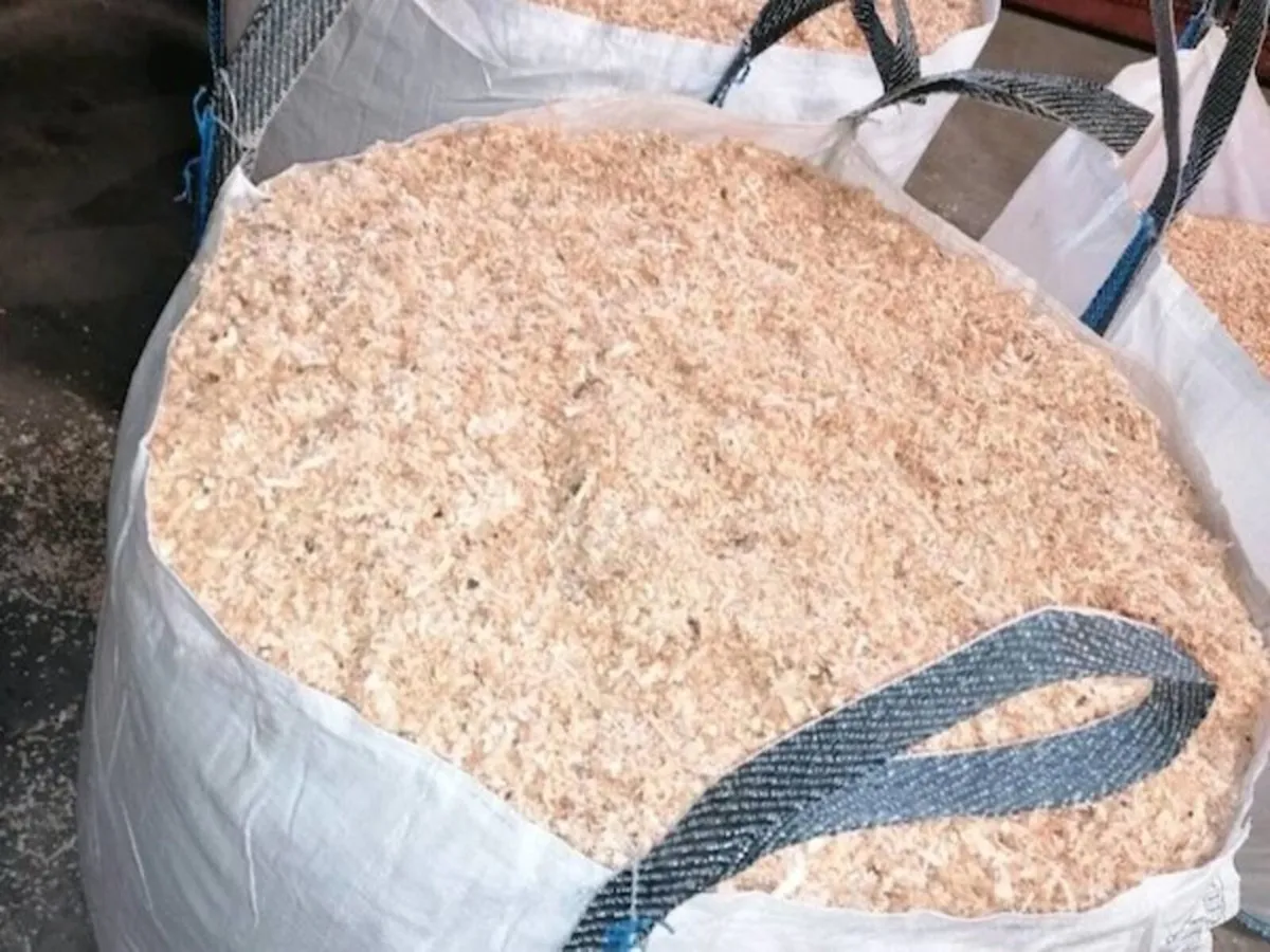 Sawdust - Image 3