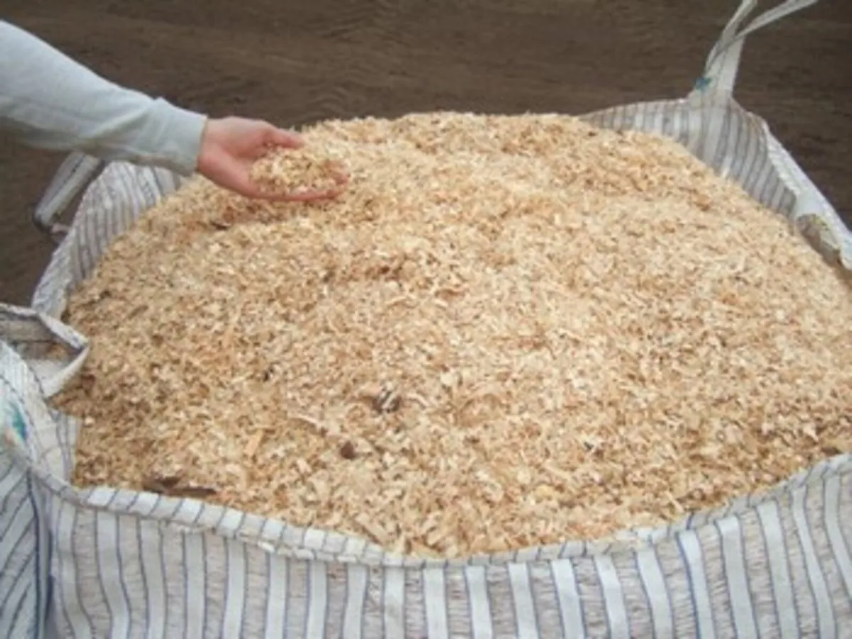 Sawdust - Image 2