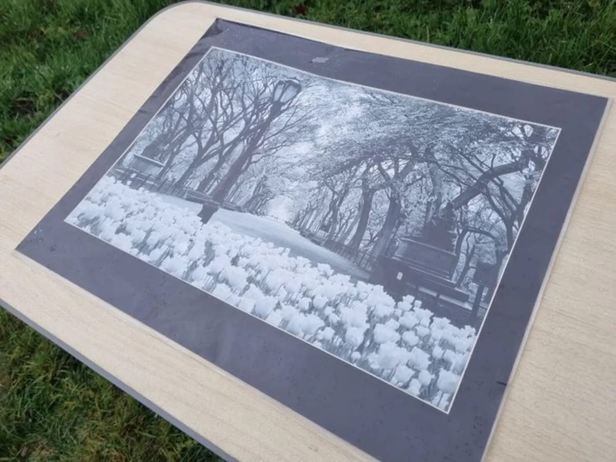 Large art photograph of Central Park in New York - Image 4