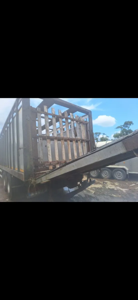 Cattle body hegarty  26ft clean - Image 3