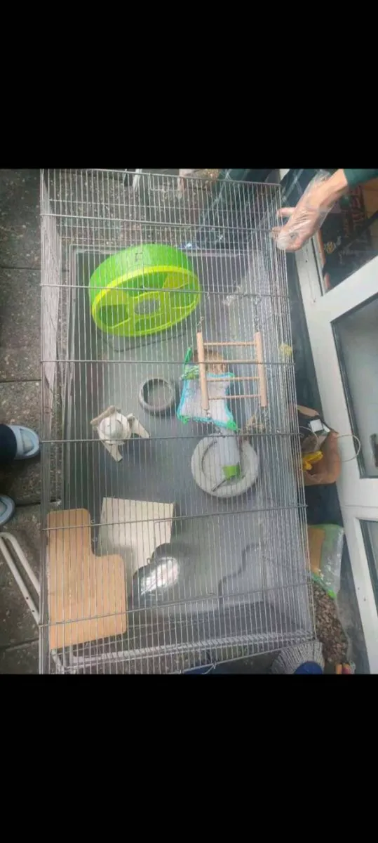 Hamster cage - Image 1