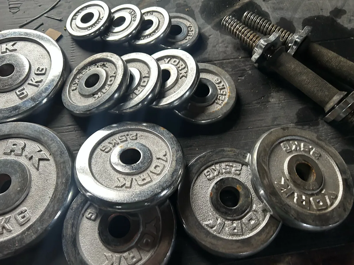 Weights - Image 3