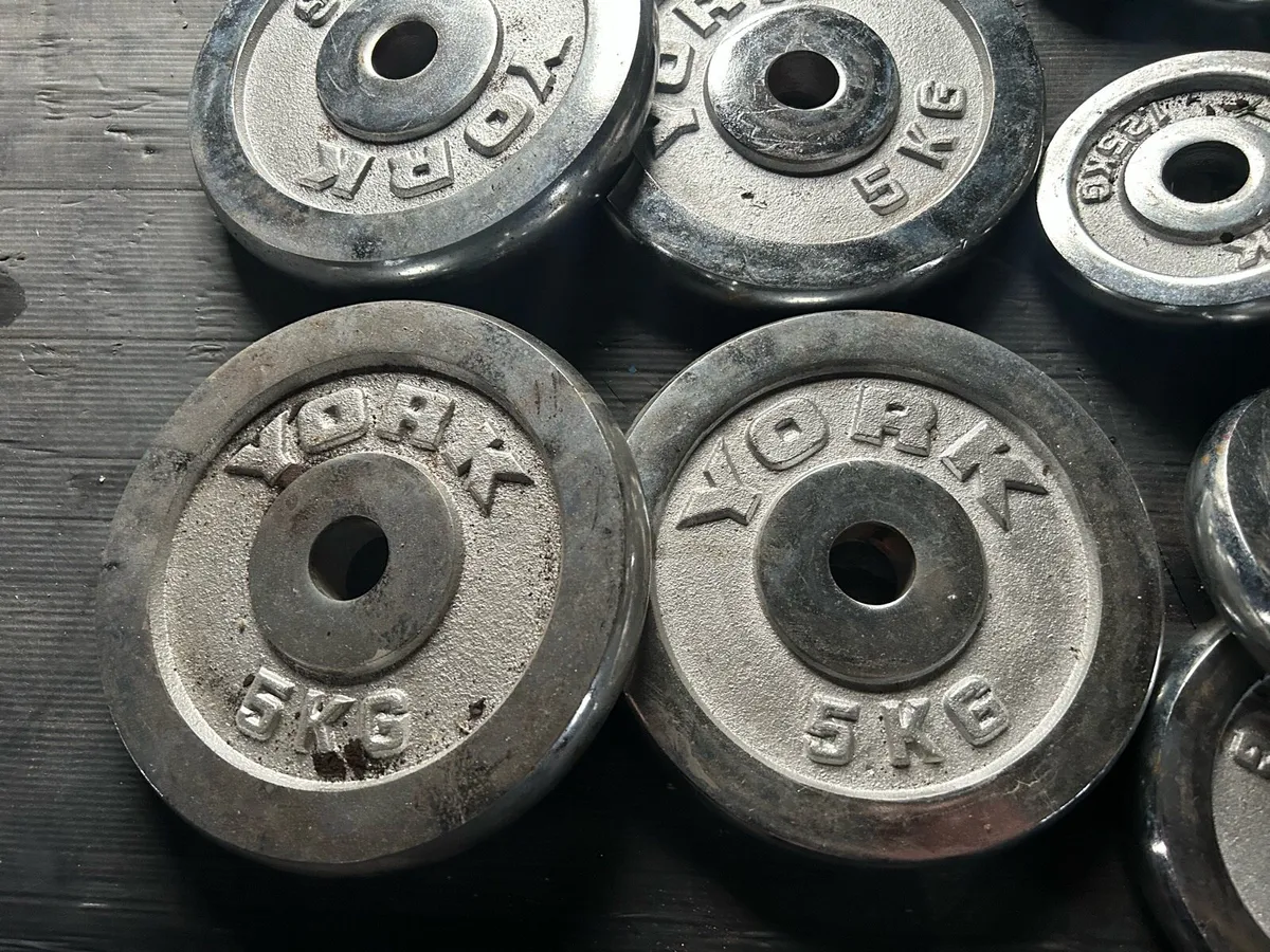 Weights - Image 4