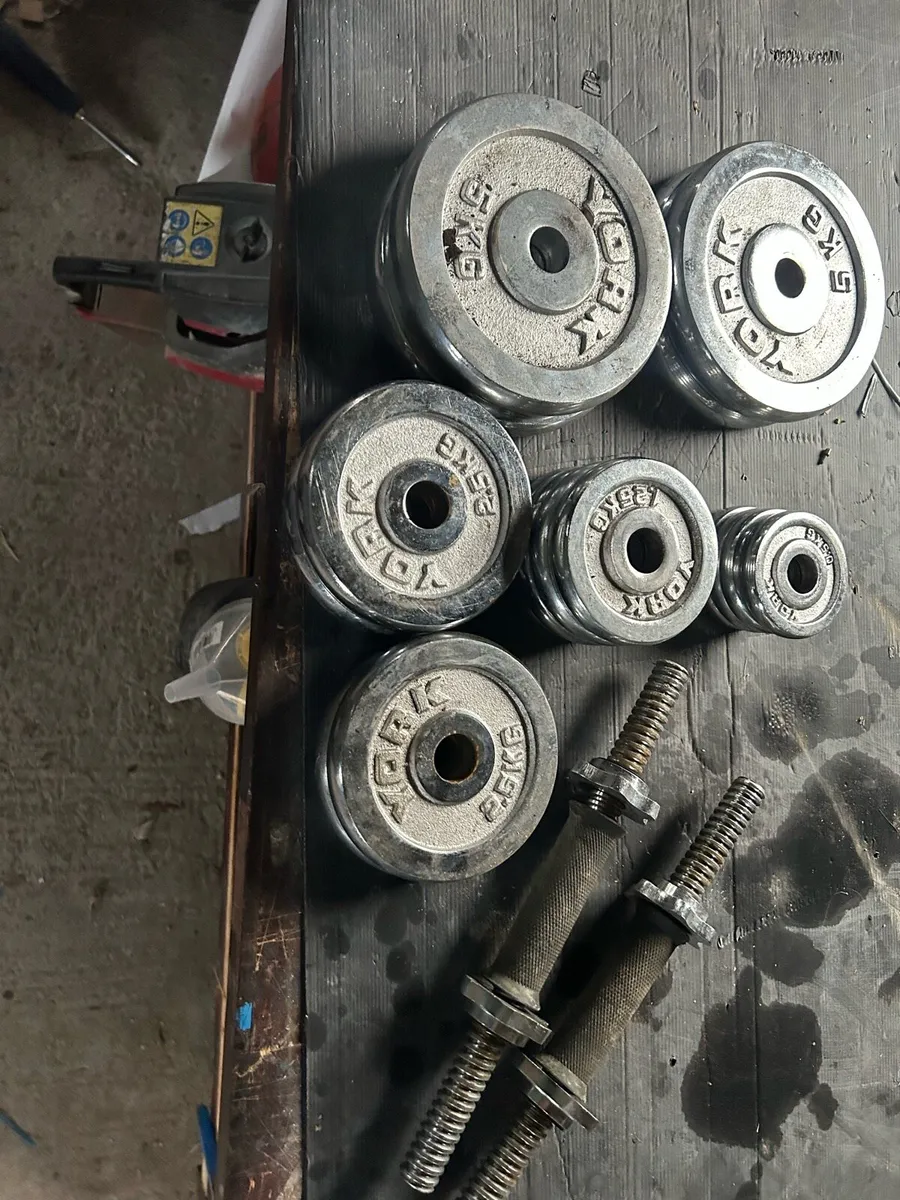 Weights - Image 1