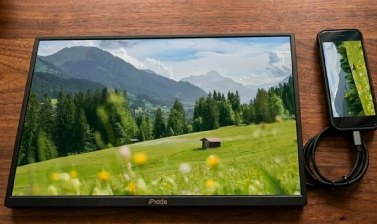 18.5 inch Portable Monitor - price firm - Image 1