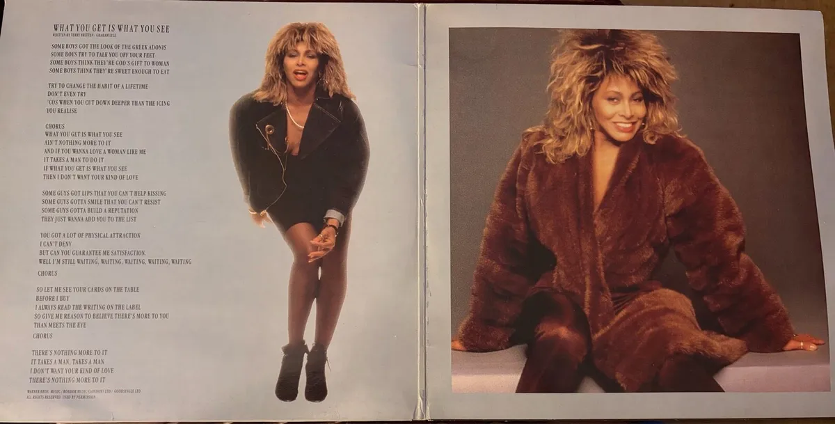 Tina Turner - Image 3