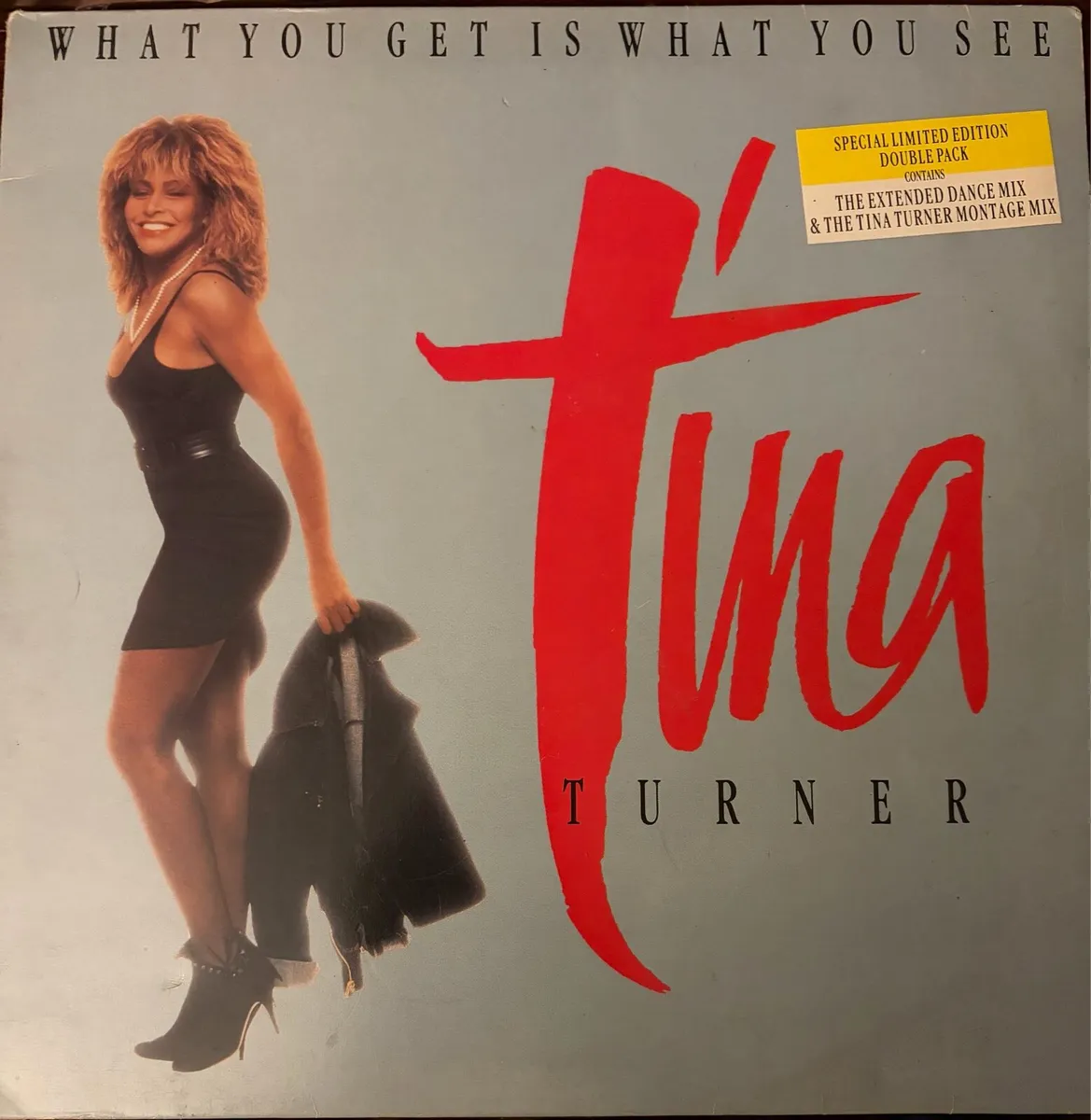 Tina Turner - Image 1