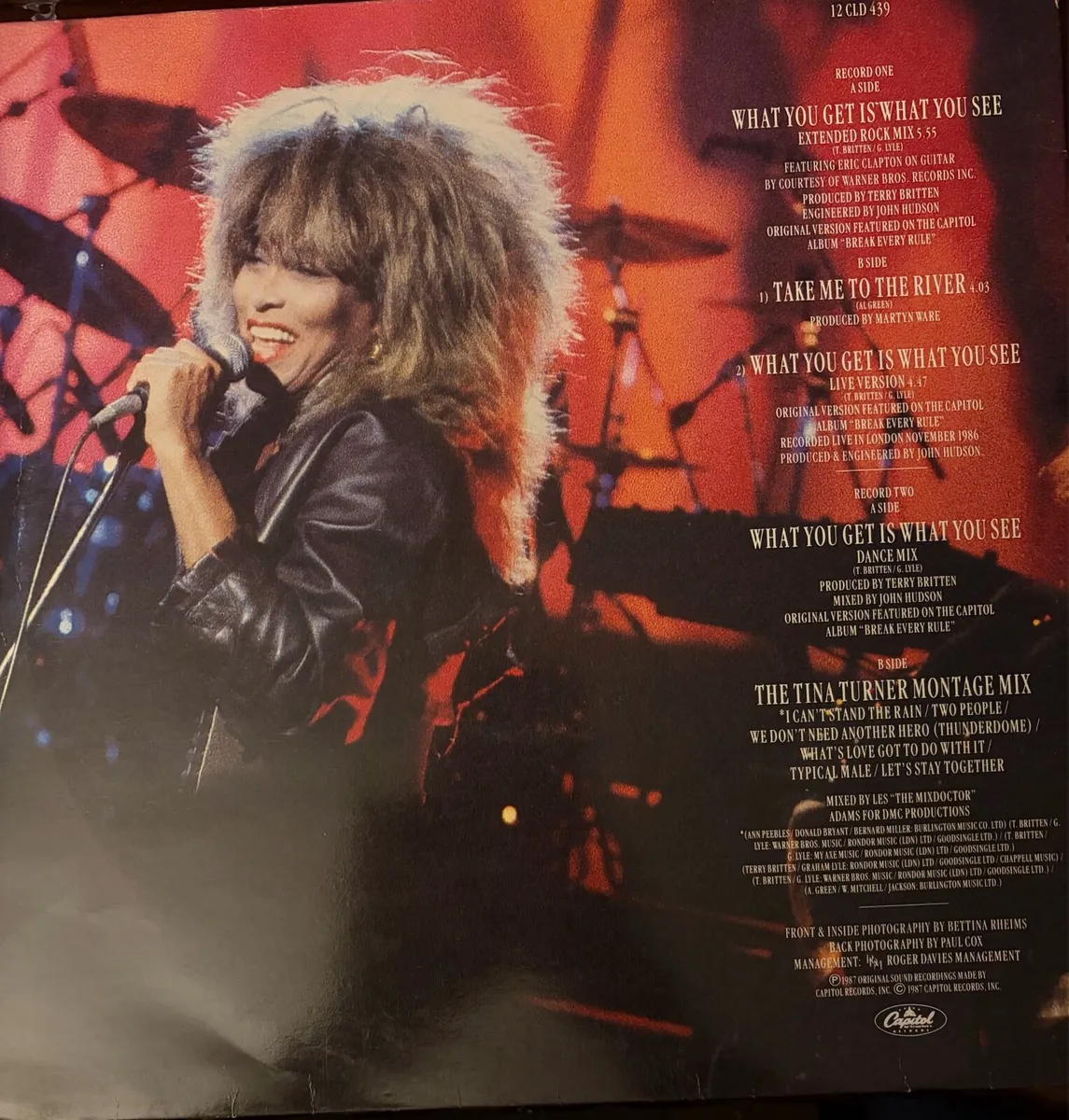 Tina Turner - Image 2