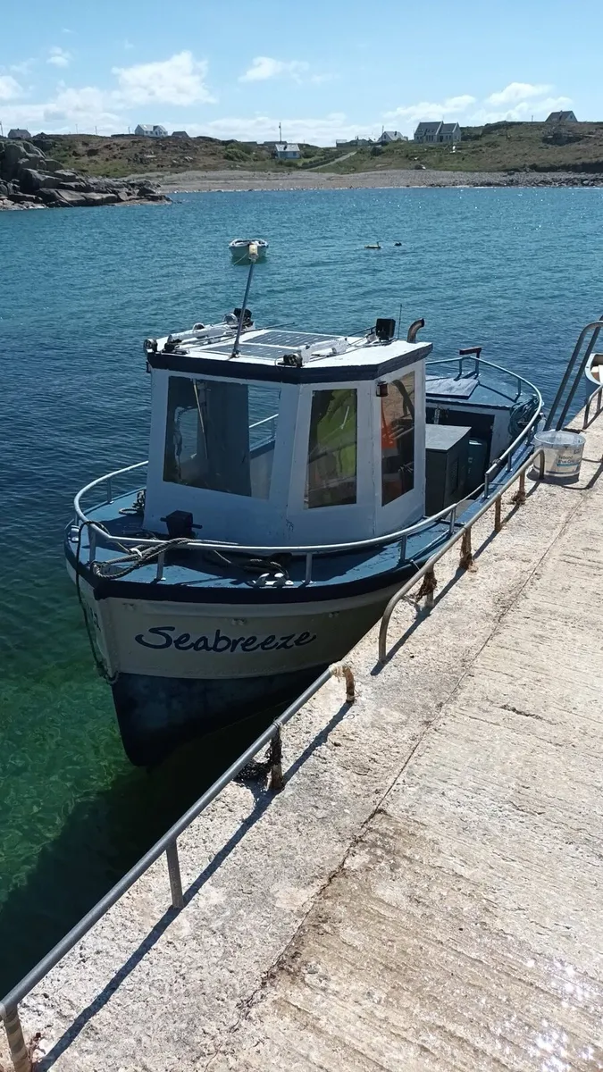 21ft aluminium boat - Image 1
