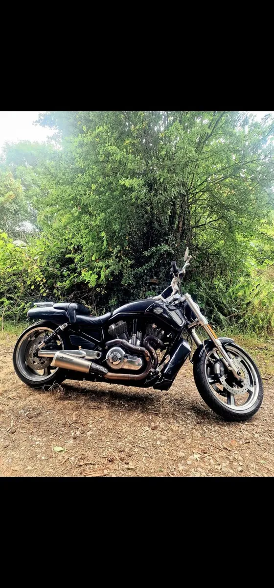Harley-Davidson Fatboy low - Image 2