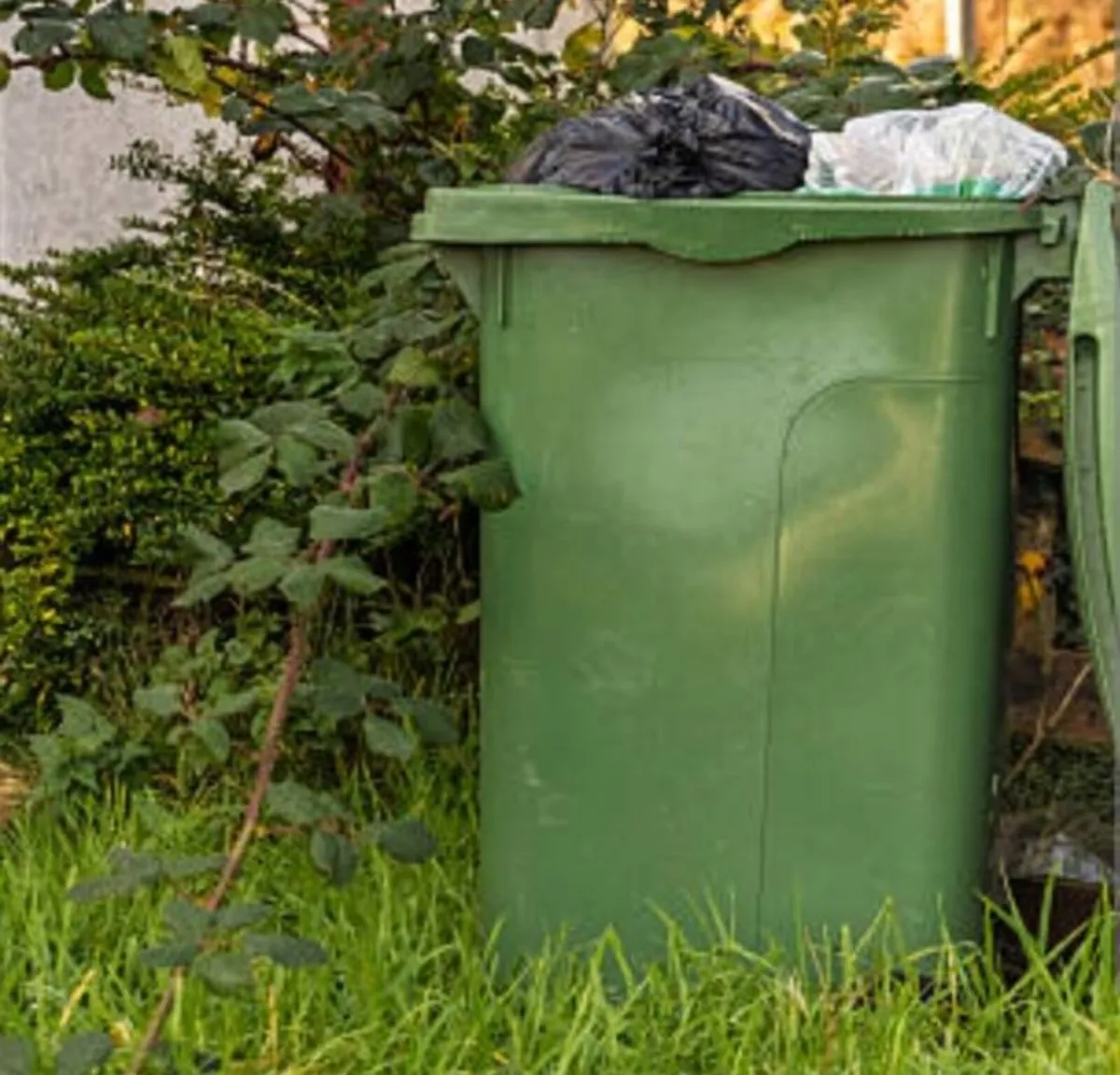 Rubbish removal - Image 4