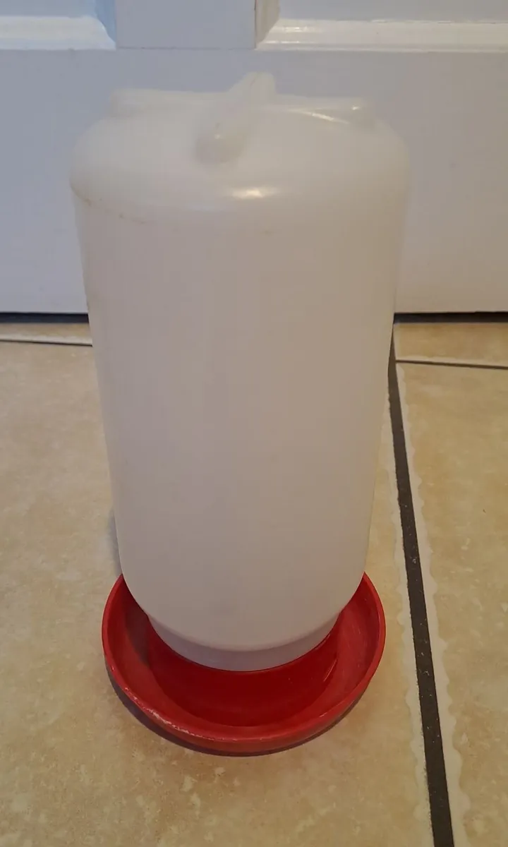 Chickens feeder and drinker - Image 2