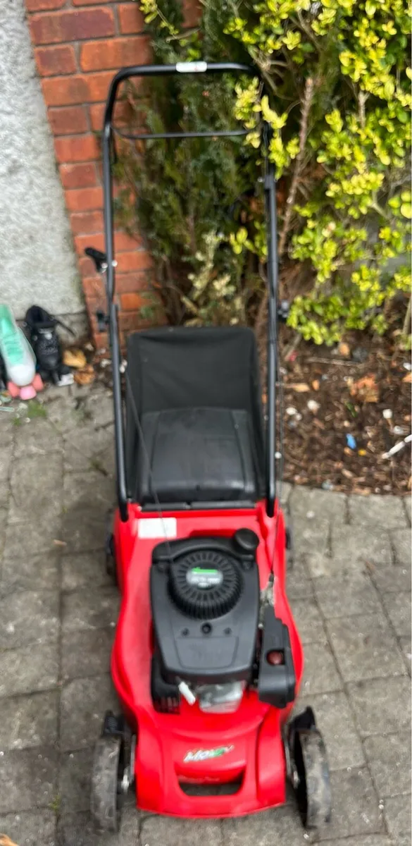Lawnmower - Image 1