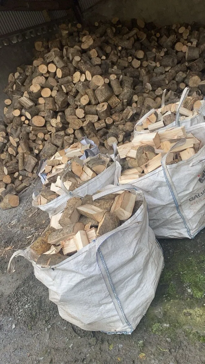 Firewood - Image 4