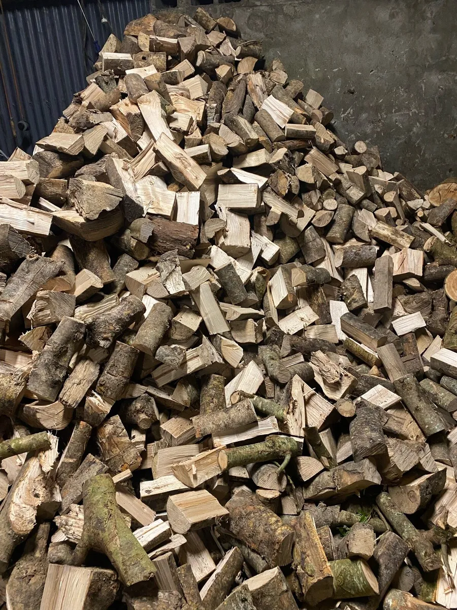 Firewood - Image 1